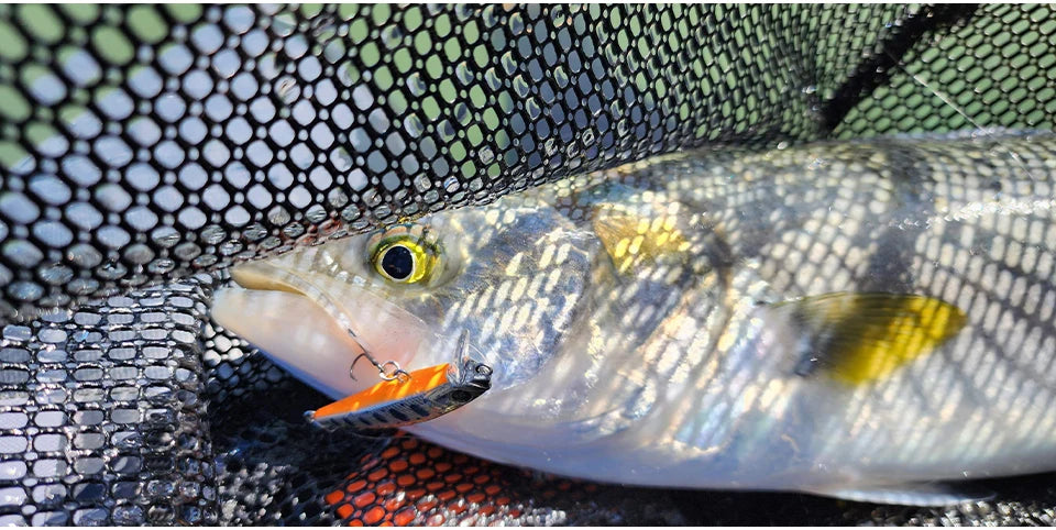 TSURINOYA 46S Sinking Minnow Fishing Lure Intruder 46mm 5g Artificial Trout Ajing Stream Lake Jerkbait Rockfishing Hard Baits