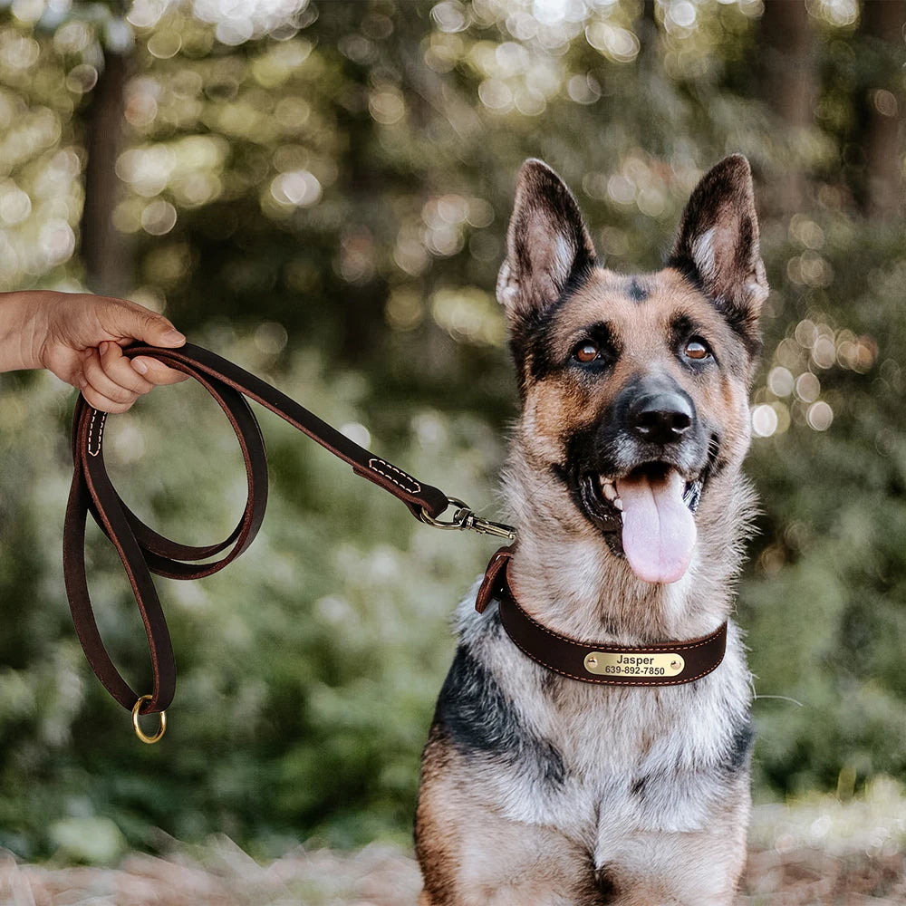 Echtes Leder Hund Halsband Leine Set Personalisiert Haustier Halsband Mit Leine Kostenlose Gravur Namensschild Für Kleine Mittlere Große Hunde