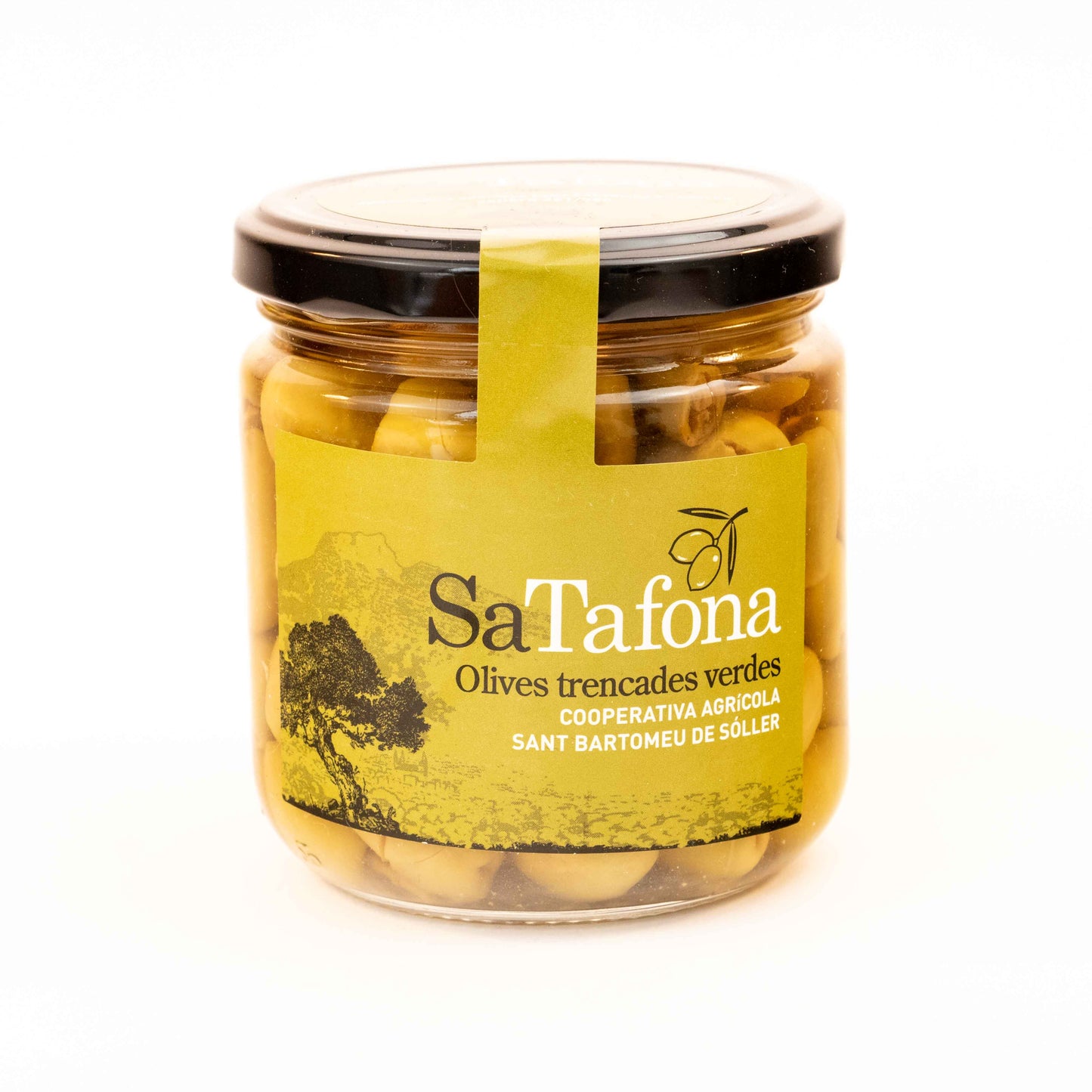 VIVA LA VIDA Masline Verzi Trencadas Sa Tafona Fresh - Continut 500 g Diametru 6 cm