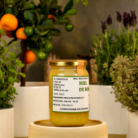 VIVA LA VIDA Miere aromatică cu rozmarin spaniol - Conținut 250 g, Diametru 7 cm, Recipient din sticlă