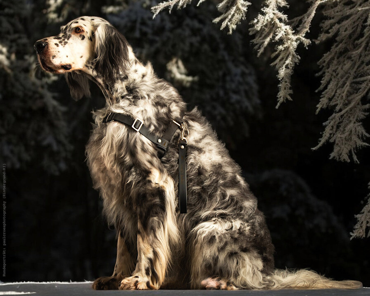 Anti-Stress-Geschirr STURMFREI®, Größe M