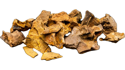 Kamienie ozdobne do aquascapingu – „Kamień smoka”