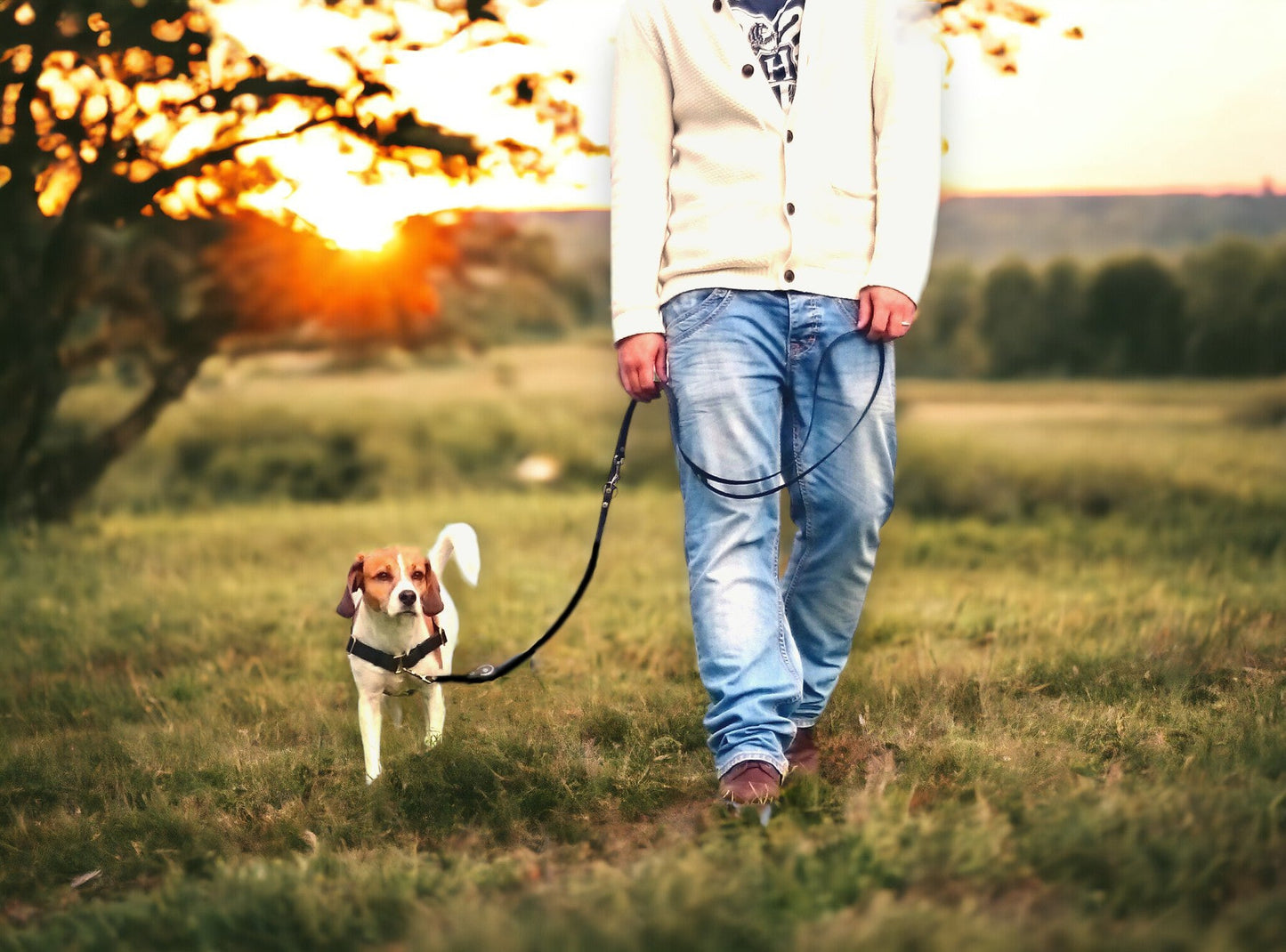 Anti-Stress-Geschirr STURMFREI® Saver für kleine bis mittlere Hunde