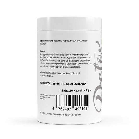 Mariendistel Artischocke Löwenzahn Komplex