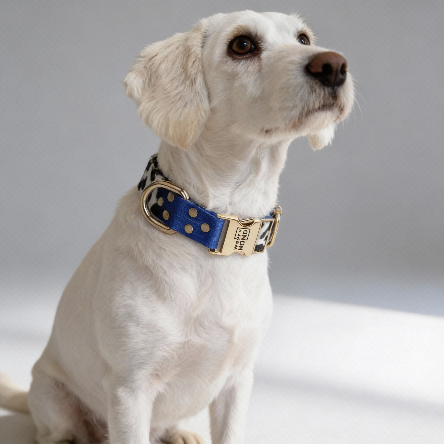 Blueberry Halsband Schnelltrocknend - Größe XS-L, 100% Polyester