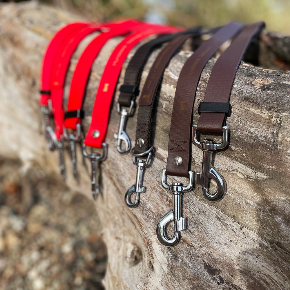 Doppelleine TECHTELMECHTEL aus BioThane®/Pop - Band