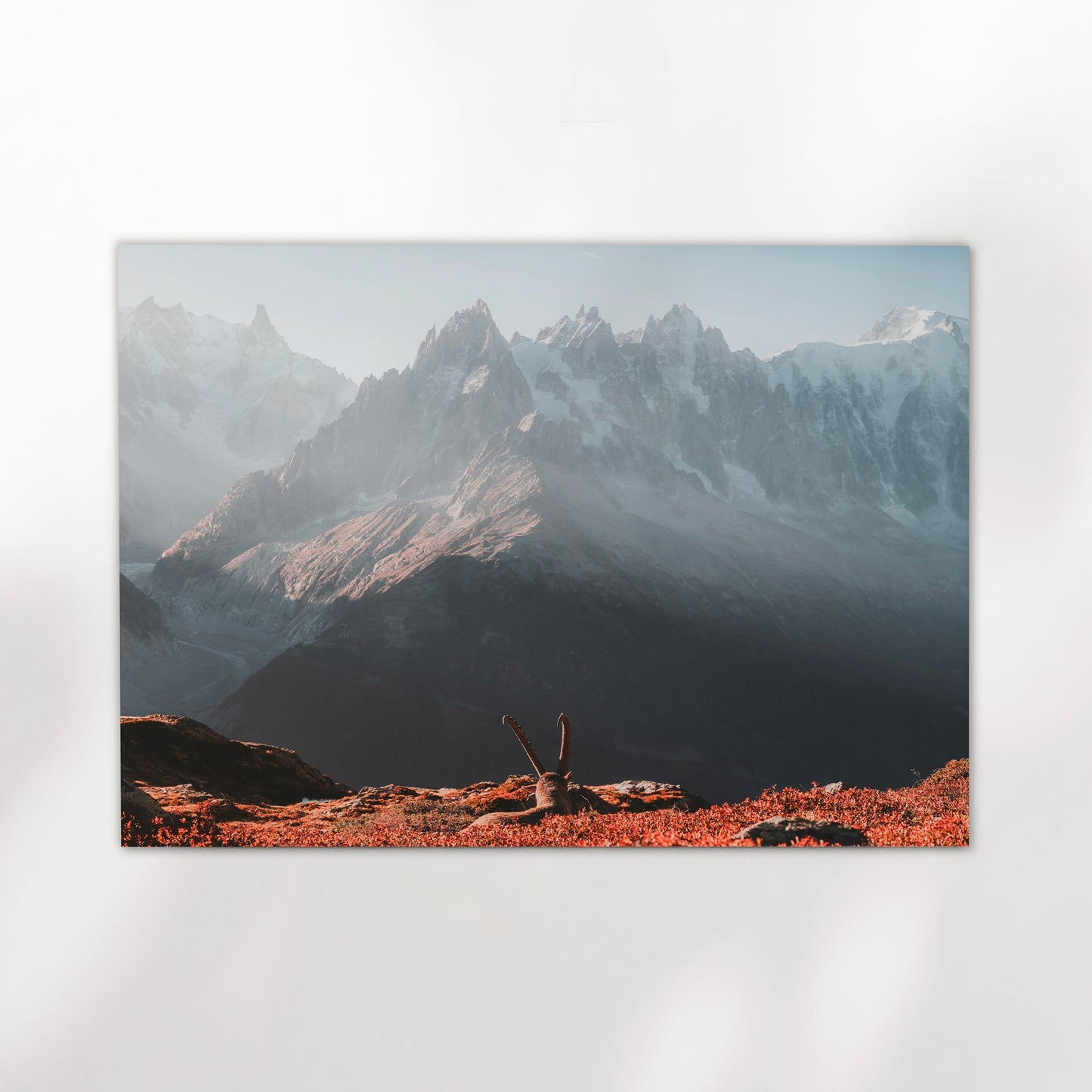 Ibex At Sunrise Wandbild Sonnenaufgang Mont Blanc - 200 g/m² ungerahmt A4-A3
