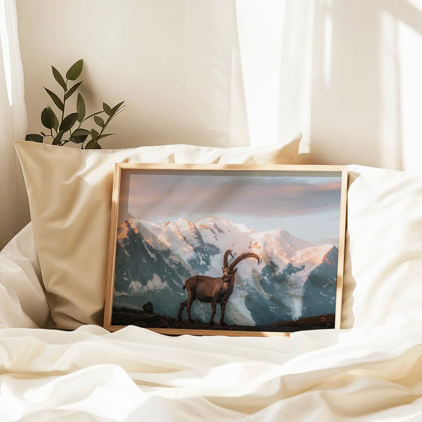Ibex Mont Blanc Chamonix Sonnenaufgang Druck - 200 g/m², Größen 5x7 bis A4