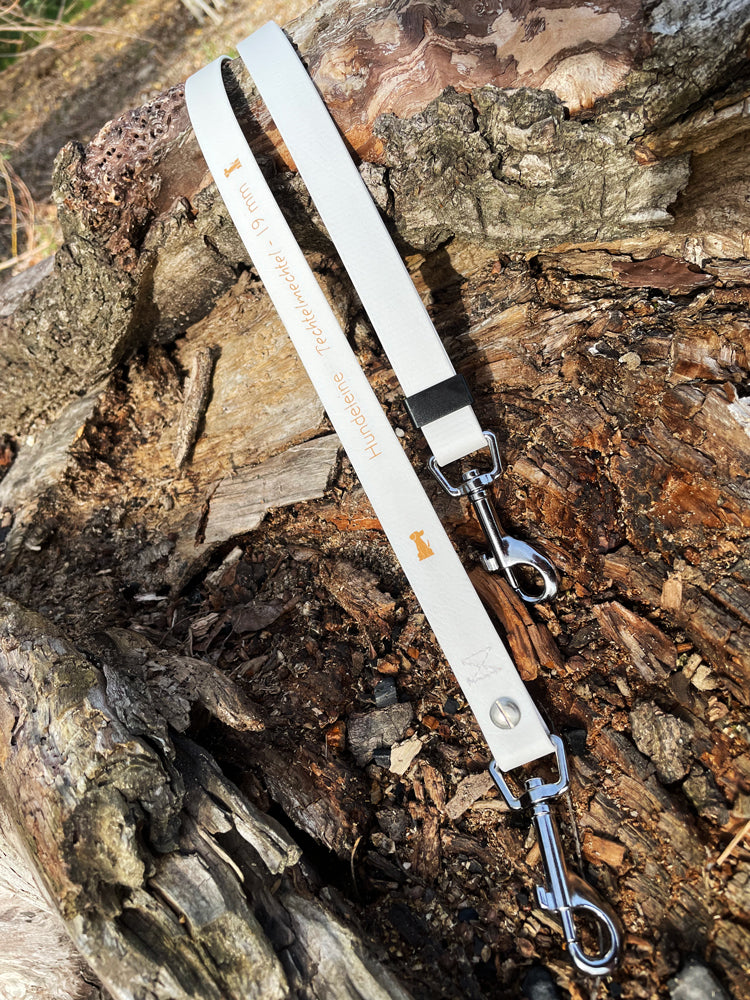 Doppelleine TECHTELMECHTEL aus BioThane®/Pop - Band