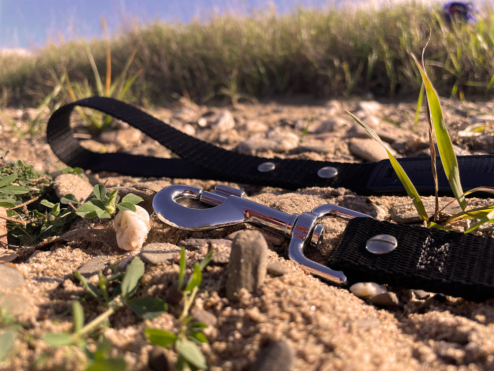 Hundeleine UM'S ECK (1,50 m) aus BioThane®/POP - Band