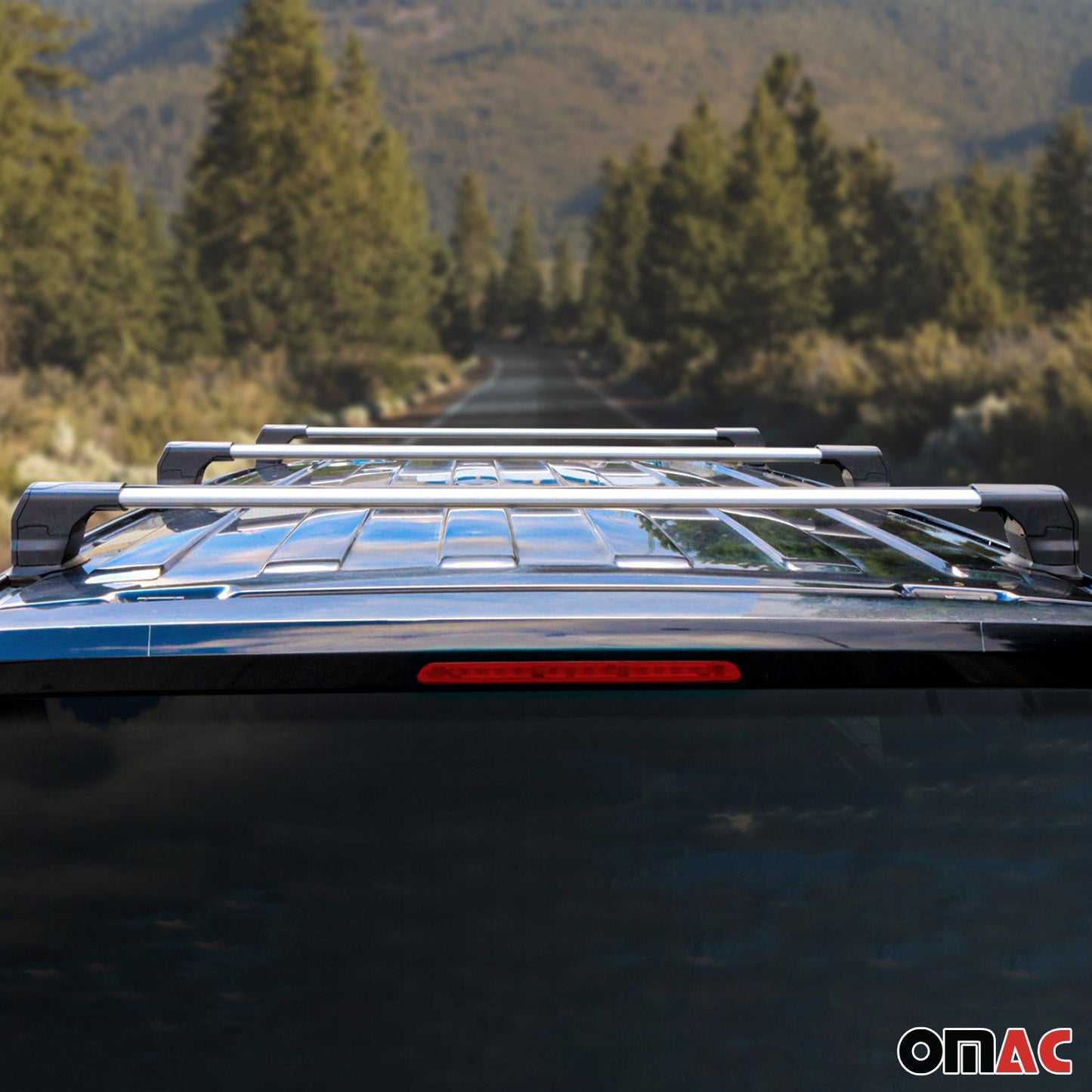 Portbagaj de plafon pentru Renault Trafic mk2 2001-2014 75kg aluminiu argintiu 3 buc