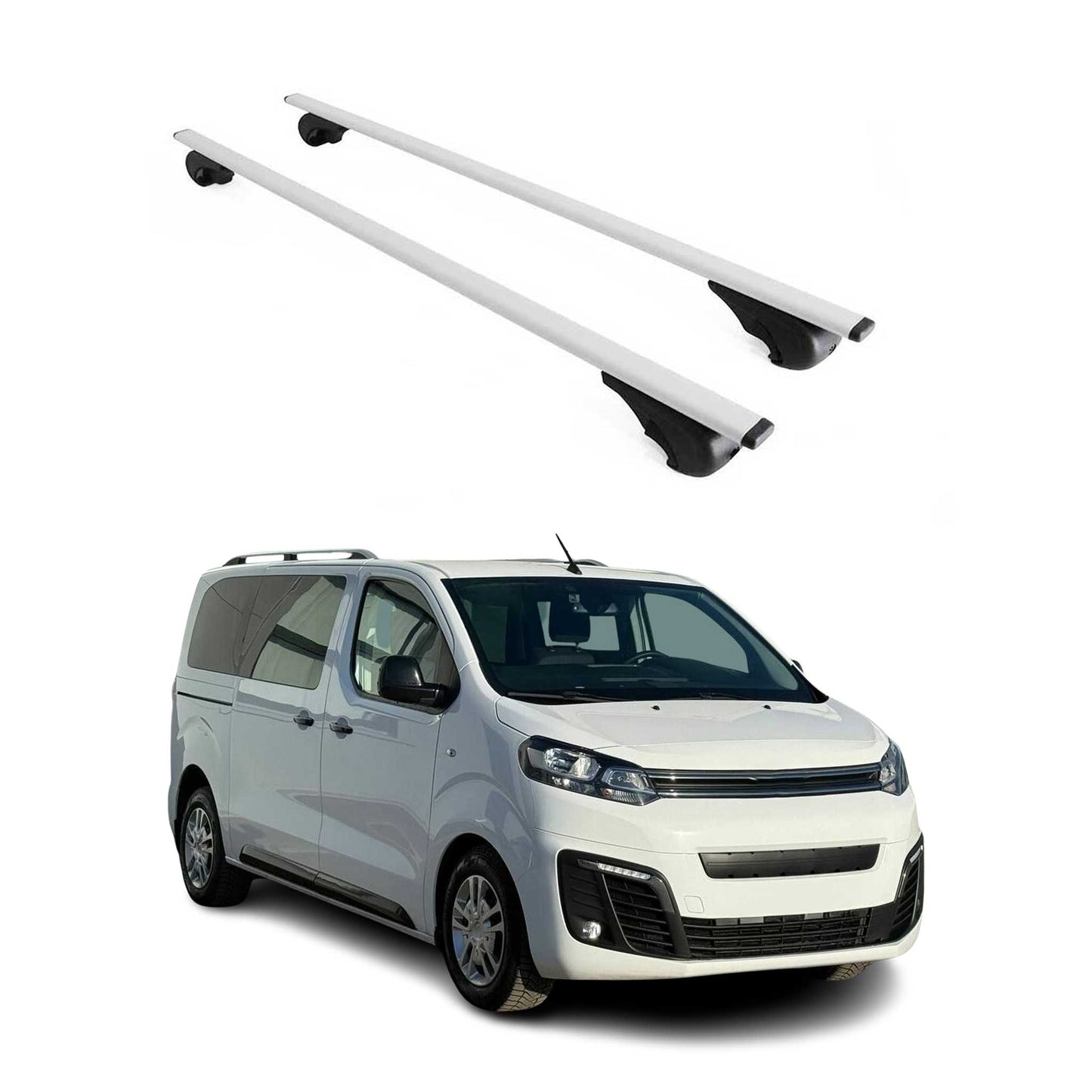 Dachträger Grundtäger für Citroen Space Tourer 2017-2025 75kg Metall Silber 2x