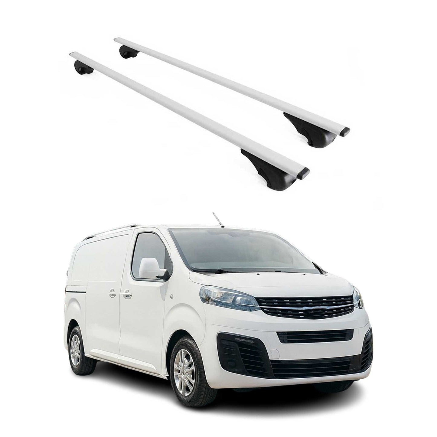 Portbagaj de plafon pentru Opel Zafira Life 2019-2025, 75 kg, metal, argintiu, 2 bucăți