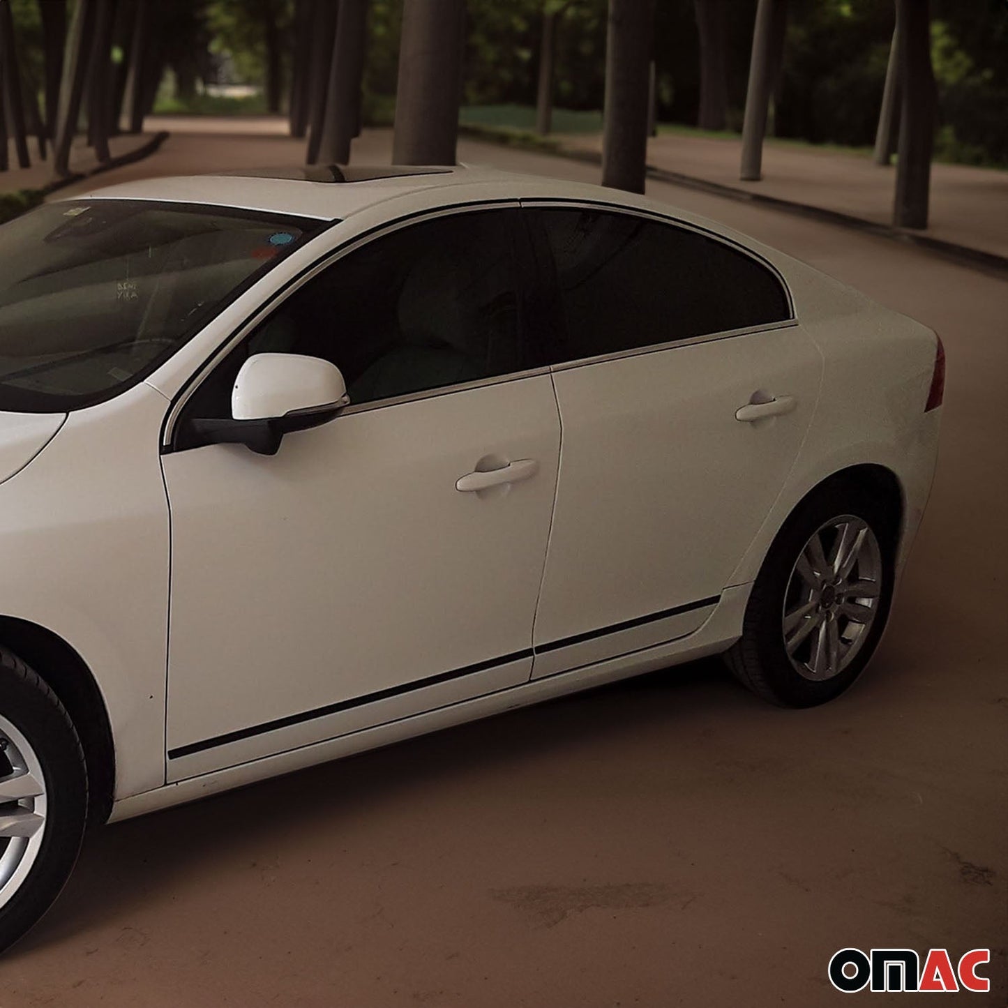 Seitentürleiste Türleisten Türschutzleisten für Volvo S60 2009-2025 Alu Matt 4x