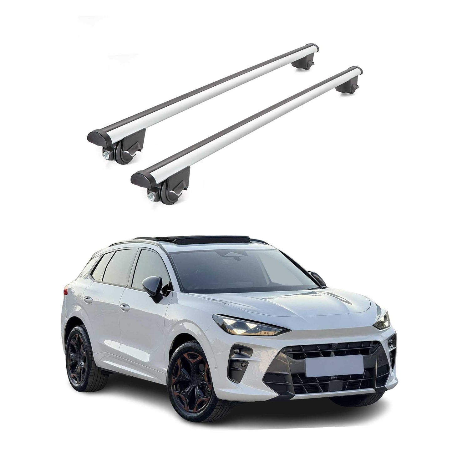 Portbagaj de plafon pentru Cupra Terramar 2024-2025 100kg aluminiu argintiu 2 piese ABE