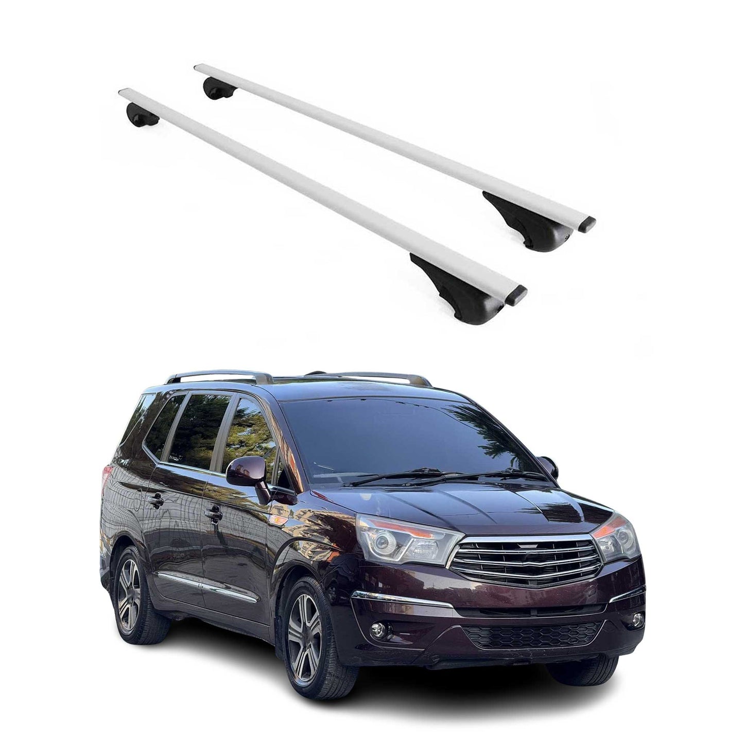 Suport portbagaj plafon pentru SsangYong Rodius 2004-2019, 75kg, metal, argintiu, 2 bucăți