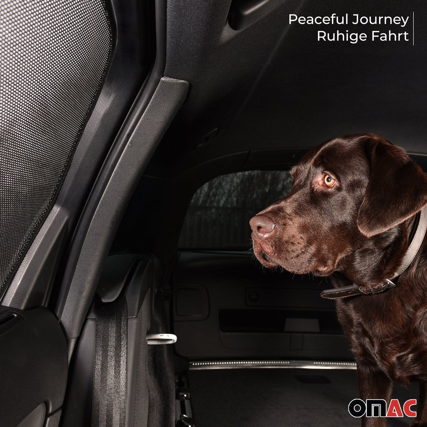 Sonnenschutz Blenden für BMW 5er E61/M5 Touring 2004-2010 hintere Türen 2tlg