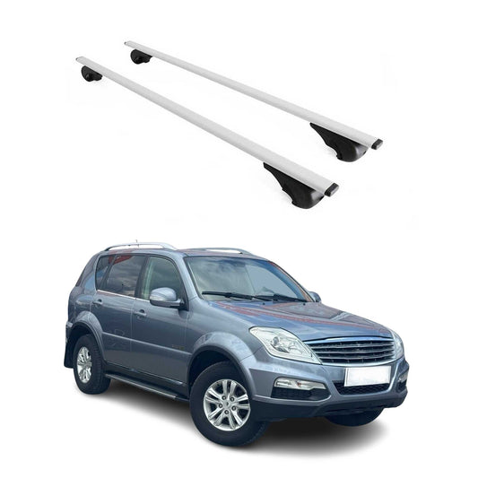 Portbagaj de plafon pentru SsangYong Rexton 2001-2017, 75kg, metal, argintiu, 2 bucăți