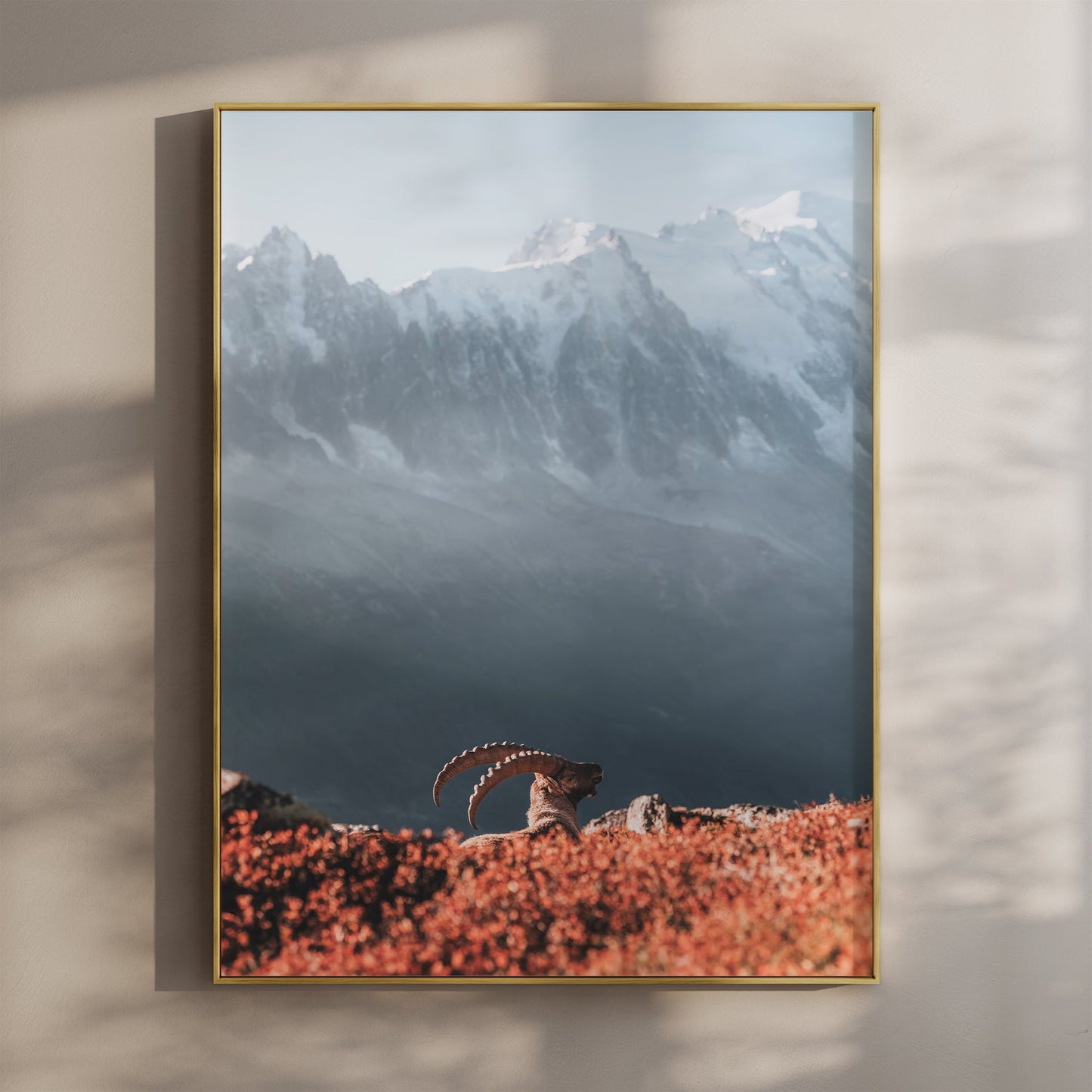 Ibex Sunrise Chamonix Hauptmotiv - Druck 200gsm, Großformat 30x40 cm