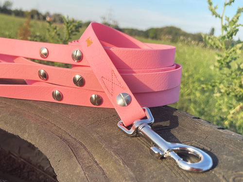 Hundeleine UM'S ECK (1,50 m) aus BioThane®/POP - Band